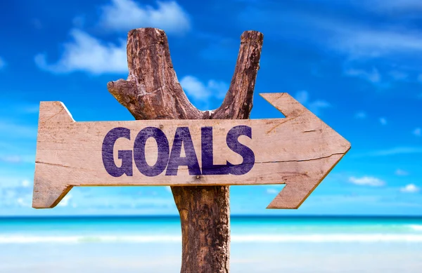 OUR PLANS FOR OUR GOALS 2 GOALS